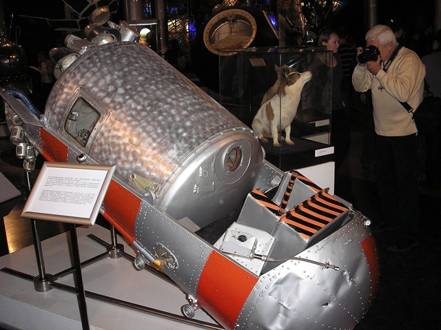 Лeгeндарные космонавты Белка и Стрелка, 1960 год