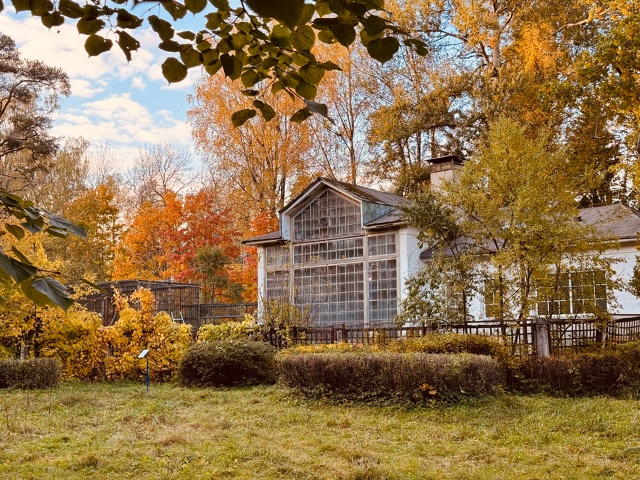 Осень золотая🍁