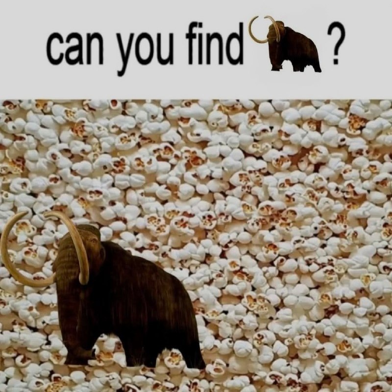 Ночная подборочка
Спать, режим