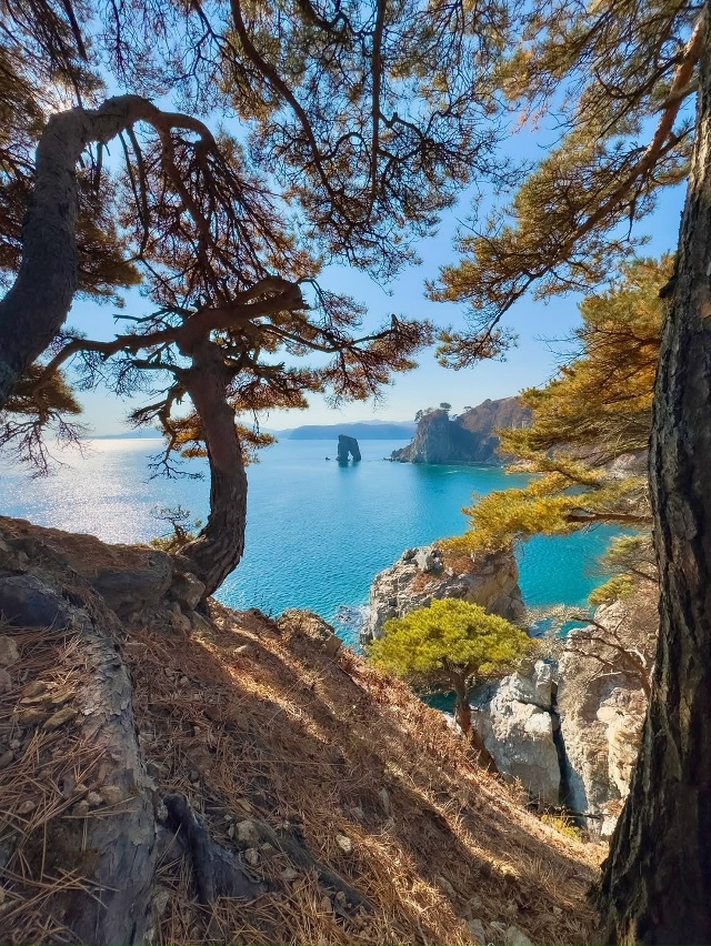 Мыс Сосновый, Приморье 🇷🇺