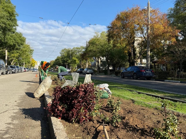 🌹Улица Фрунзе продолжает преображаться.
Озеленители...