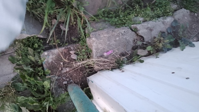 У магнита около рынка был найден ключ от домофона, на ф?...