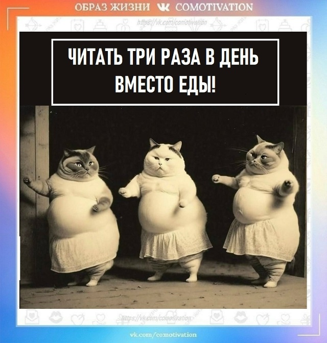 Не благодарите.