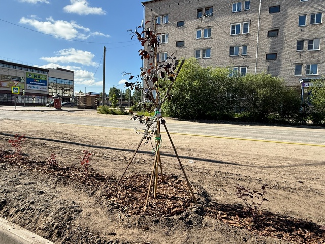 Ежедневно в нашем любимом городе проводятся мероприят...