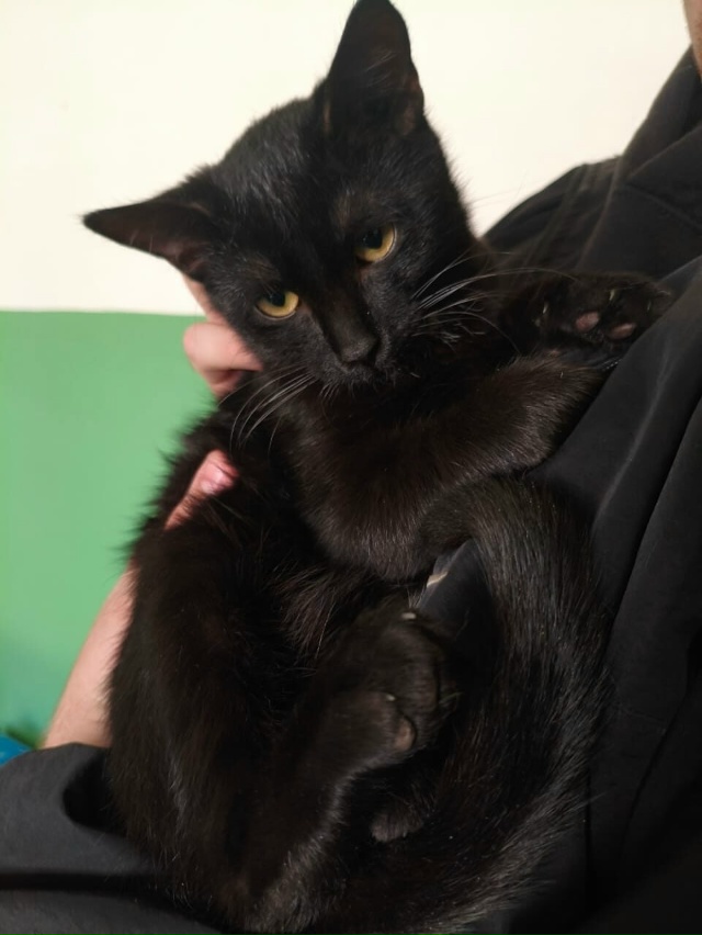 ВОЛГОРЕЧЕНСК ❗
Ласковый мальчишка ищет любящих 