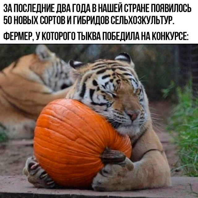 Как за ребёнка переживал