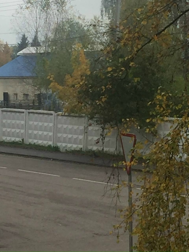 Здравствуйте!
Можно как-то повлиять на руководство АО ...