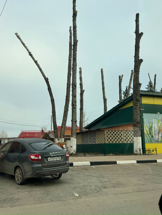 Как вы думаете,красиво смотрится?😭
Фото: Чёрно-белый ?...