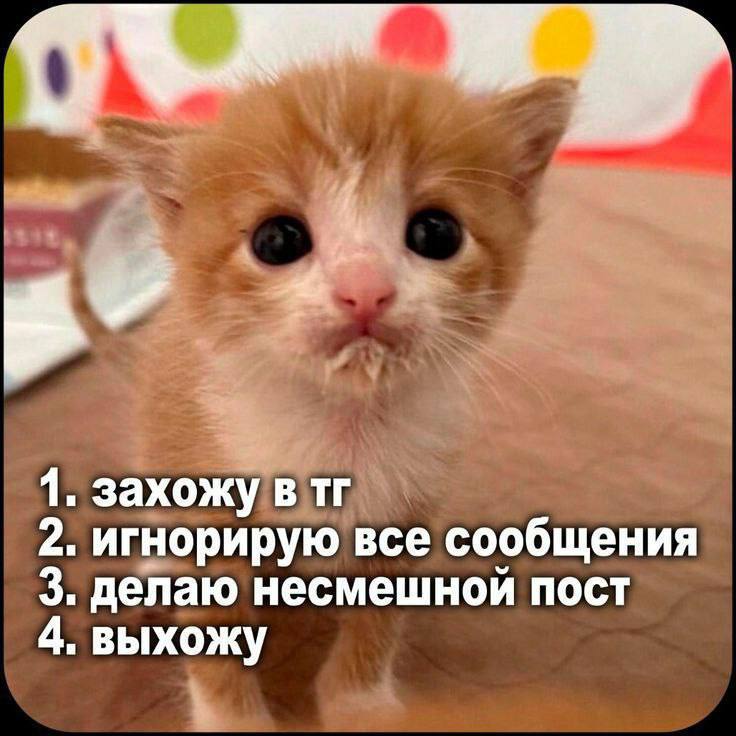 Утренняя подборочка