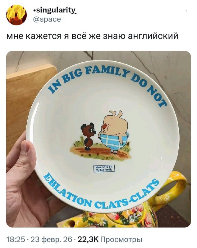 «В большой семье do not eblation clats-clats»: в сети показали тарелку с Винни-Пухом и Пятачком, кот