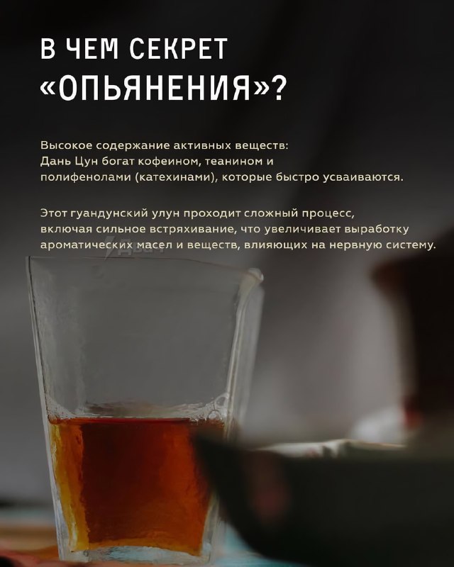 Чайные эксперты рассказали про самый «пьяный» чай, который легко заменит алкашку — китайский Фэн Хуа