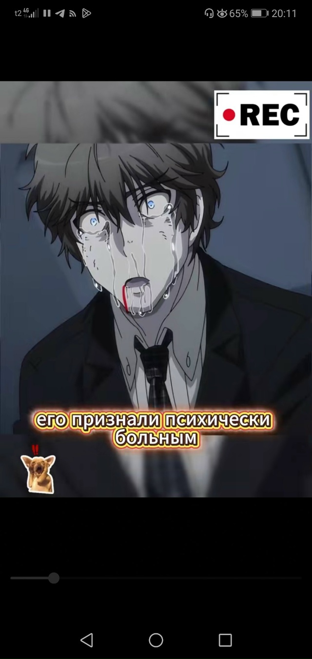 #Что_за_аниме