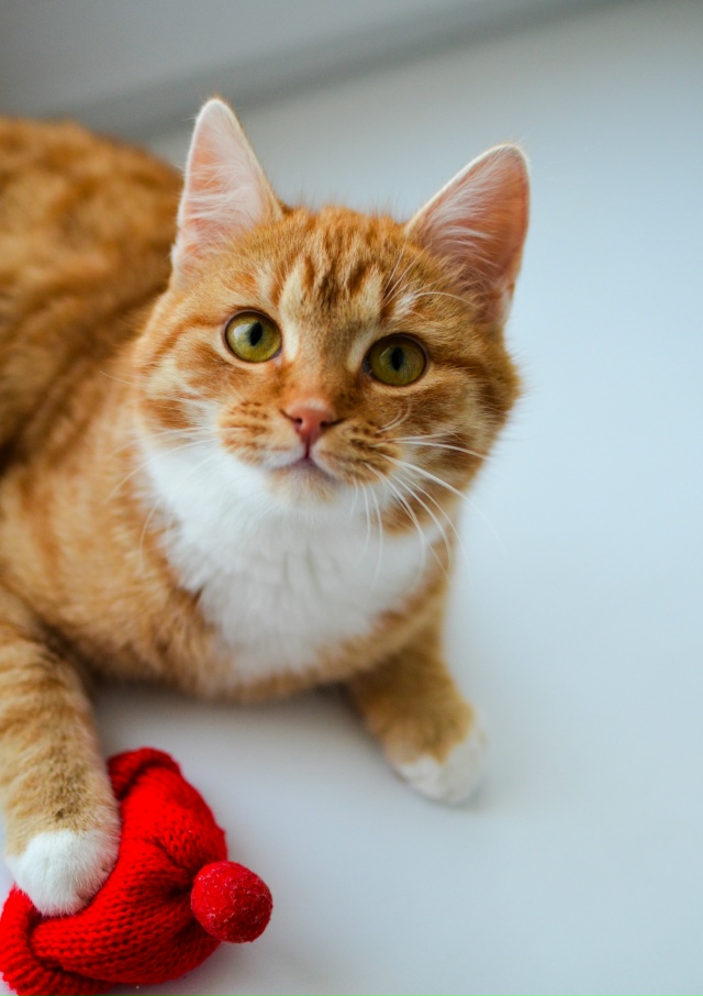 Здравствуйте.
Опубликуйте пожалуйста.
Ищет дом в Можа...