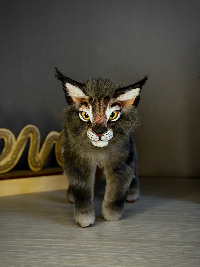 Звездоцап😼
Кукла в смешанной технике из полимерной г?...