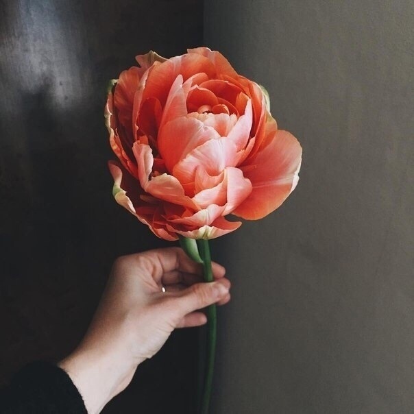 происходит только то, что должно происходить.
все начи...