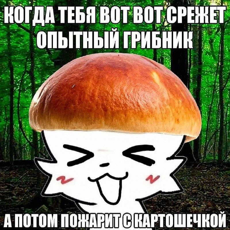 Утренняя подборочка