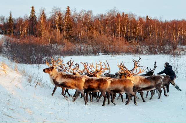 Красное ❤
Фото: Ирина Пудовкина
