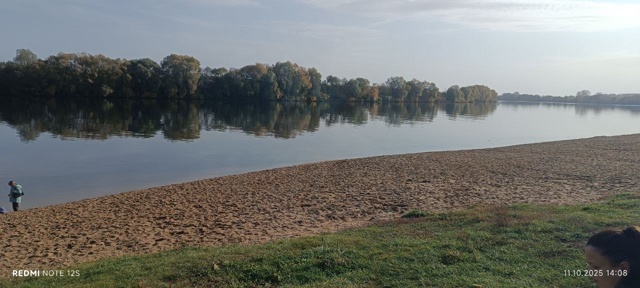 Администрация уберите пожалуйста мусор с колычевског?...
