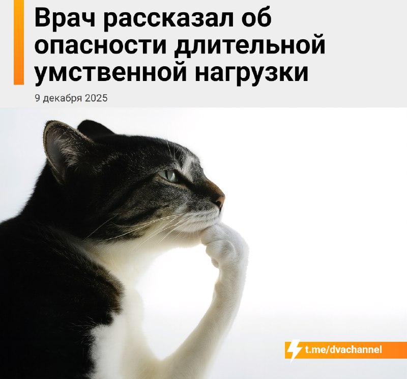Много думать — опасно для здоровья, предупредили врачи
По словам специалистов, если долго напрягать