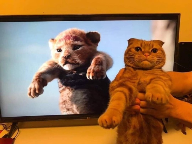 Король Лев...😂