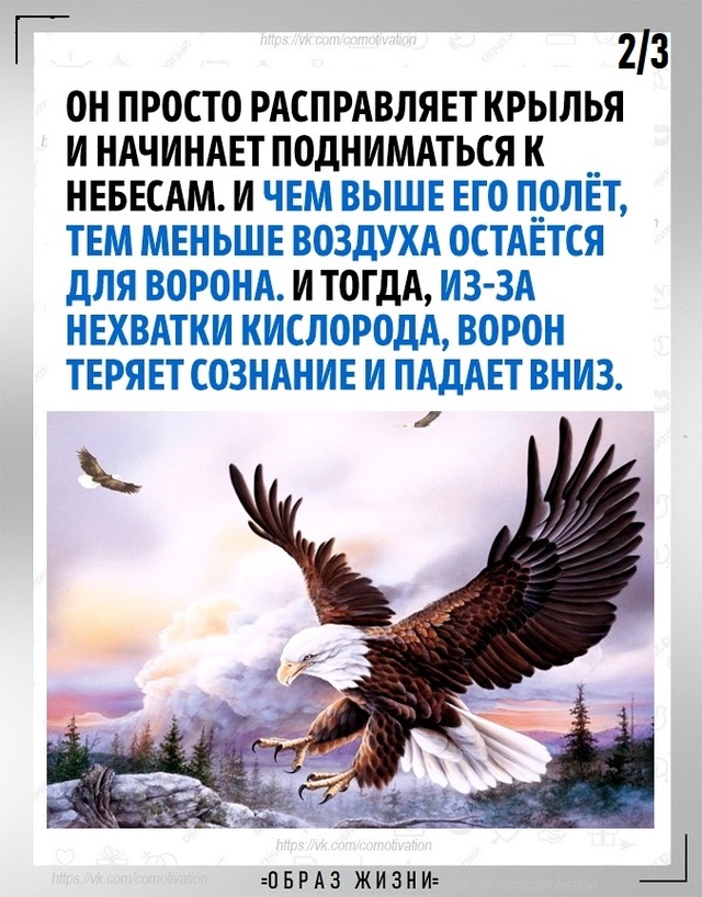 Не тратьте время и силы на то, что не стоит вашего внима...