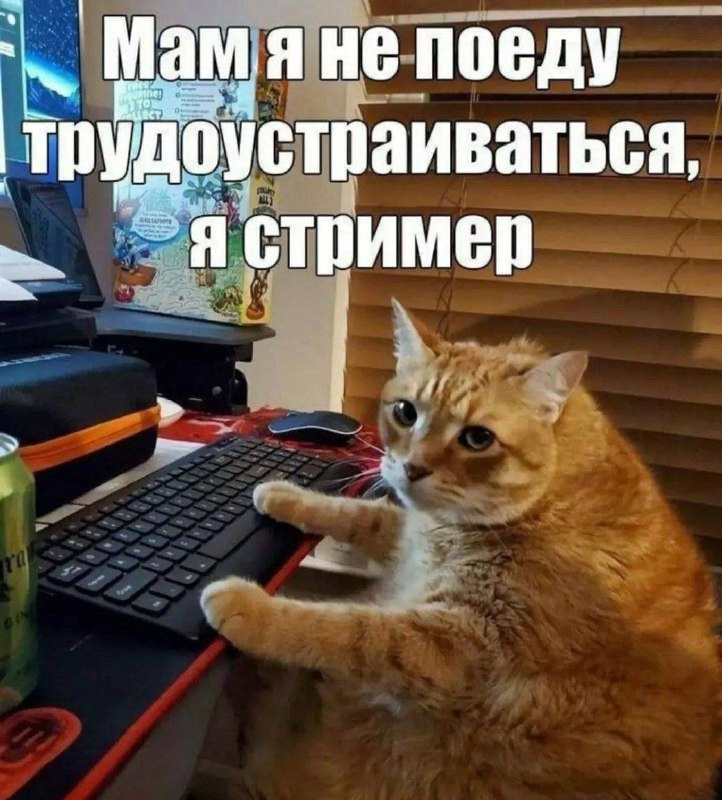 Утренняя подборочка