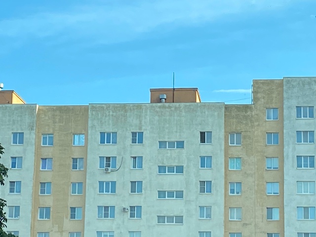Что с домом, он в плесени?