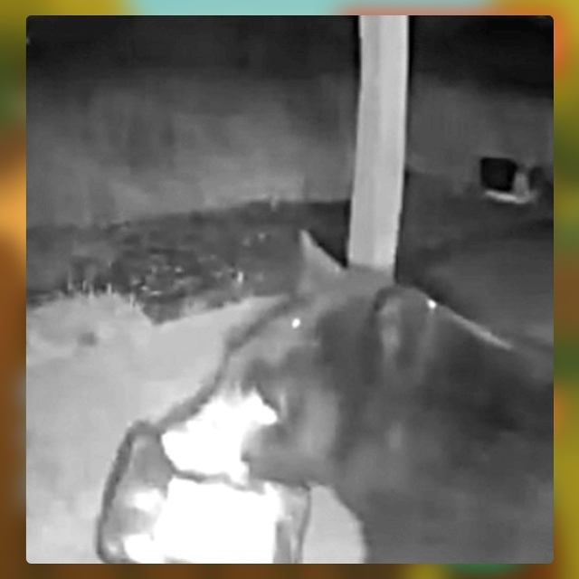 Безумные приколы
Когда ждёшь посылку с онлайн-магазин?...