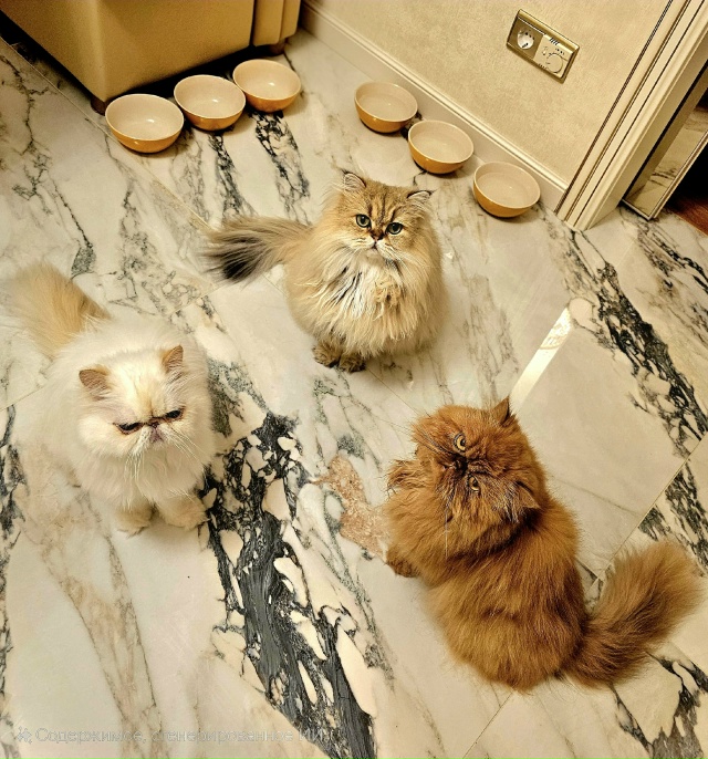 Все взборе 😻❤️😻❤️😻❤️