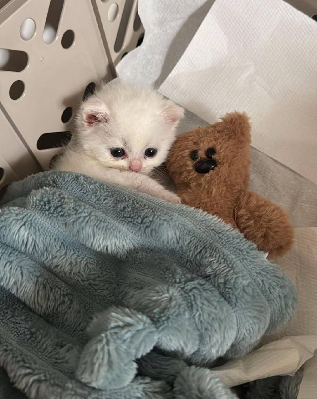 Укладываемся споть :3