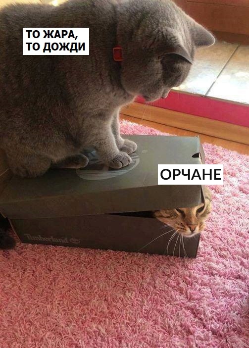 Живём в Орске же