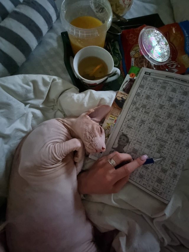 Всем привет! Мы тут новенькие, хотя и давно следим )
Зна?...