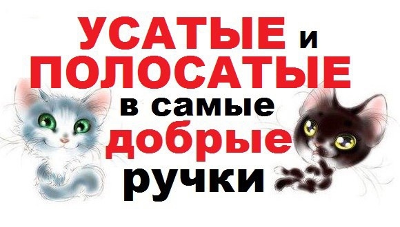 Админ, опубликуй, пожалуйста!
Переславль!
Друзья!
Обра...
