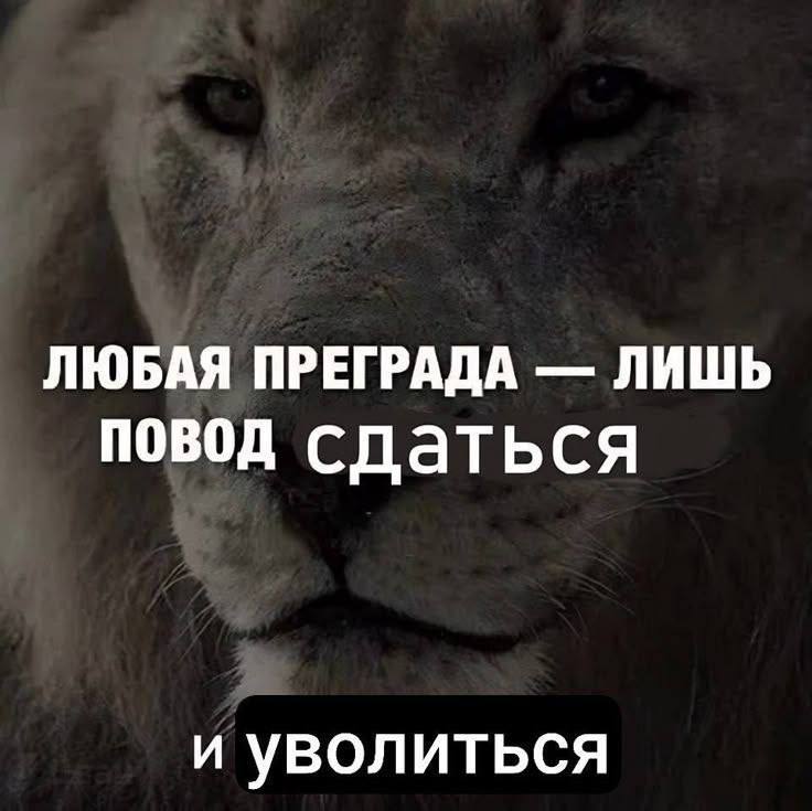 Утренняя подборочка