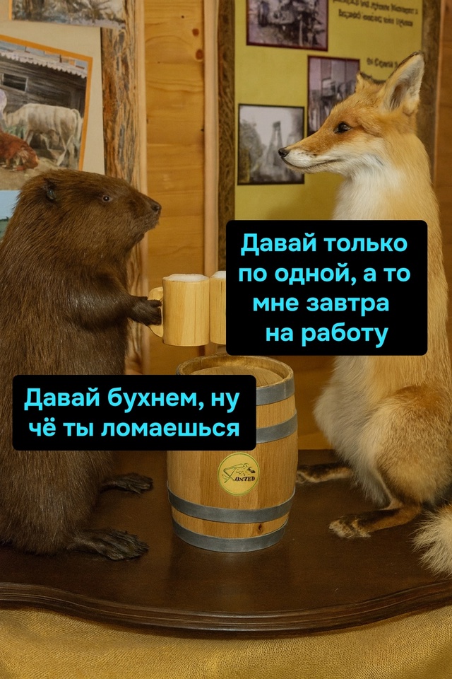 «Завтра на работу» — сказал и проснулся в другой облас...