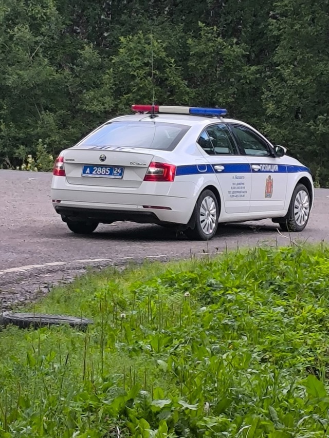 15 июля мы поехали отдыхать на Красноярское море, на дву...