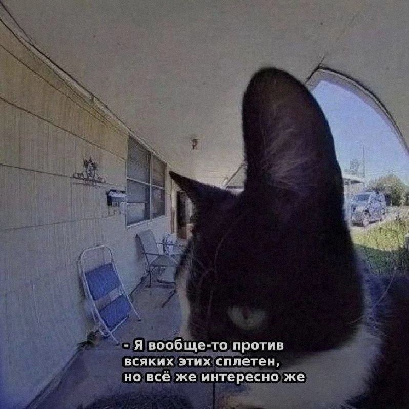 Ночная подборочка
Выходные, не спим