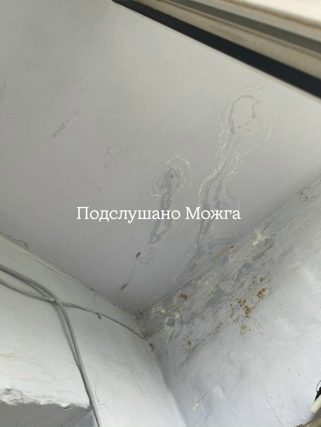 Админ прошу выложи пожалуйста пост 🙏🏻🙏🏻🙏🏻
Прошу...