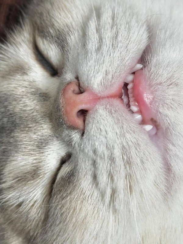 Вырубаемся споть :3