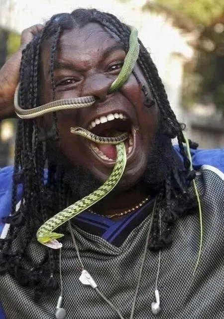 Манохаран Ману по прозвищу «Змея» в попытке попасть в ?...