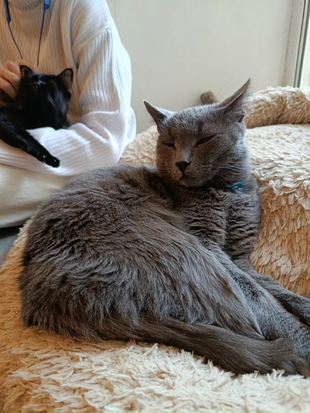 Не буду говорить, где, чтобы не было рекламы, я сегодня ?...