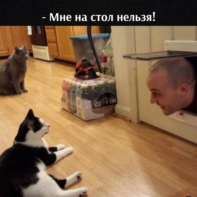 =»»