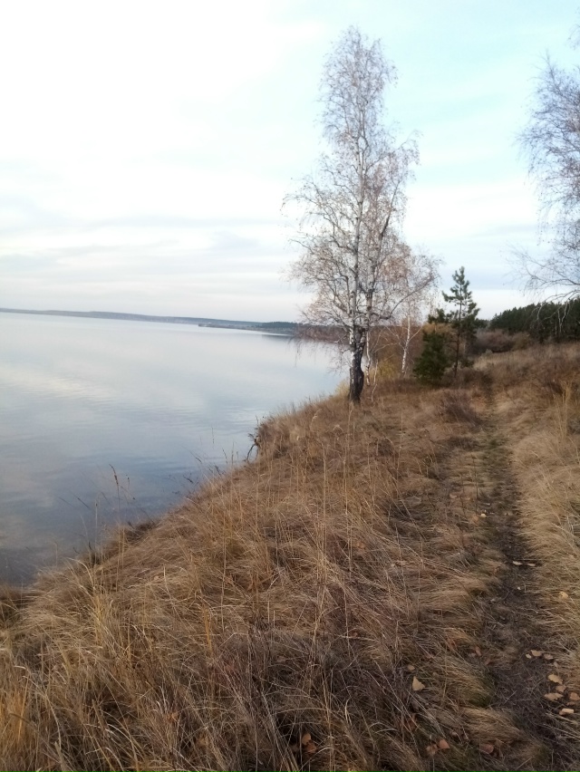 Немного позитива в ленту.На снимках-подборка № 3,прогу?...