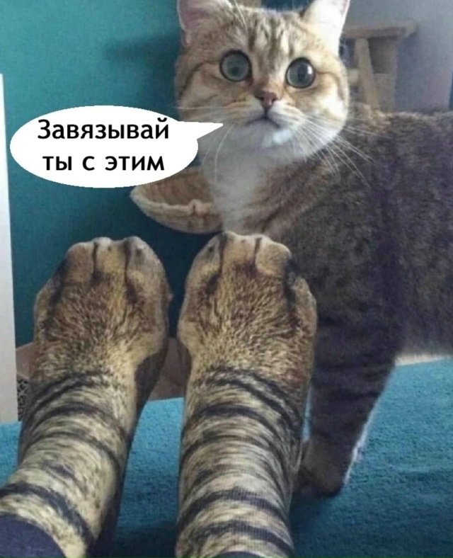 Ну это уже ни в какие ворота не лезет