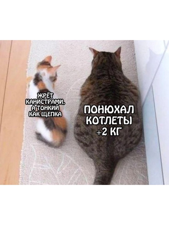 Вот везет же с метаболизмом кому-то...