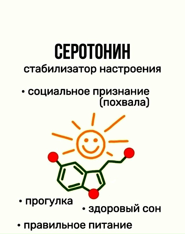 Химия мозга и настроение: