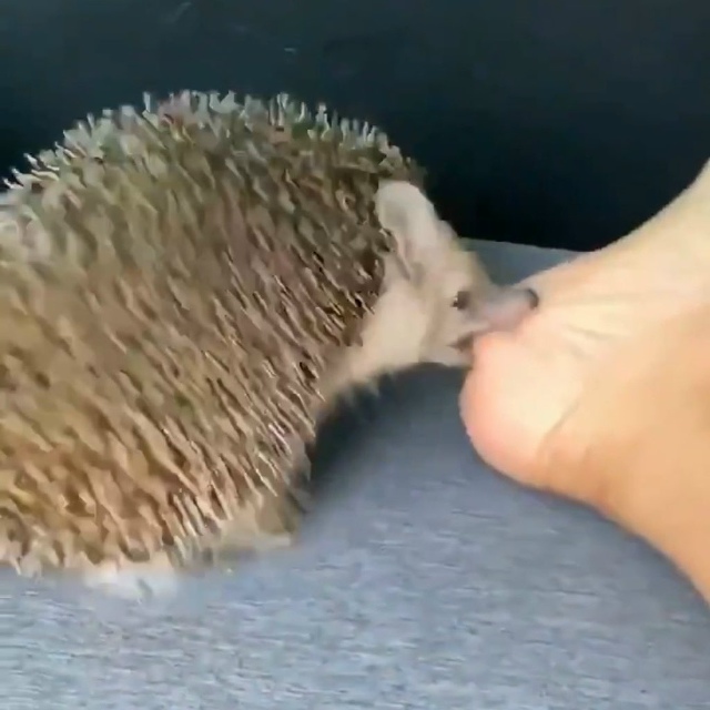 Смерть Ахиллеса. 1200 год до н. э. Фото в цвете