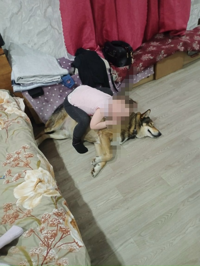 Я в полном шоке, что творится у нас в городе!!!! Этот пёс ?...
