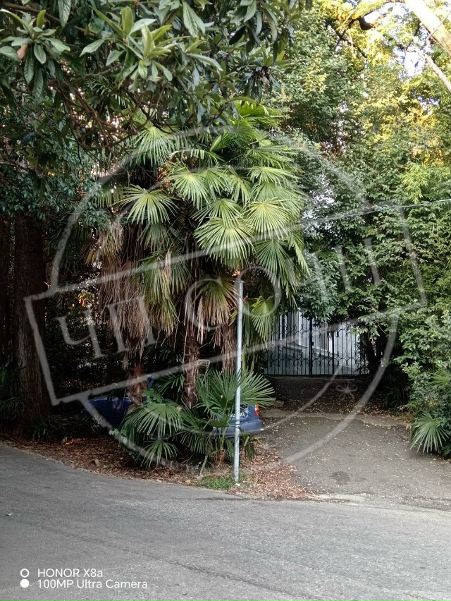 «Ездят в лоб!»: сочинцы требуют вернуть украденные дор?...