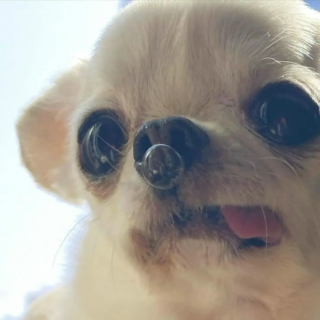 Юристы напоминают, что можно подать в суд на коллегу и ?...